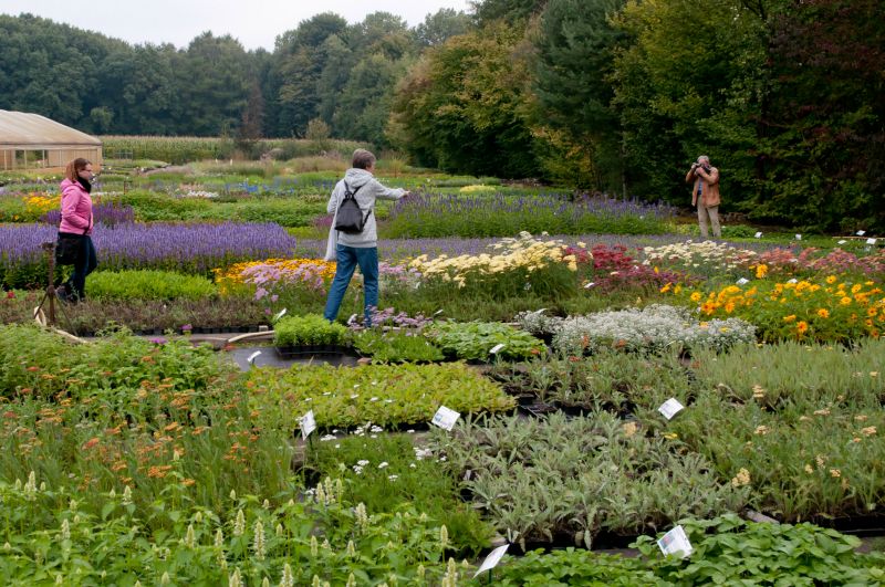 Freunde und Förderer des Botanischen Gartens Rombergpark e