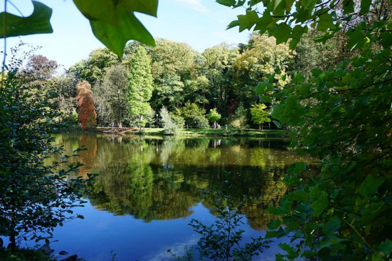 Botanischer Garten Rombergpark Freunde und Förderer des Botanischen Gartens Rombergpark e.V. - Startseite