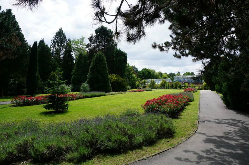 Freunde und Förderer des Botanischen Gartens Rombergpark e