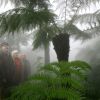 Pflanzenschauhäuser – Fotogalerien