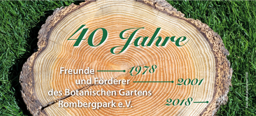 Baumscheibe_40Jahre_Freundeskreis