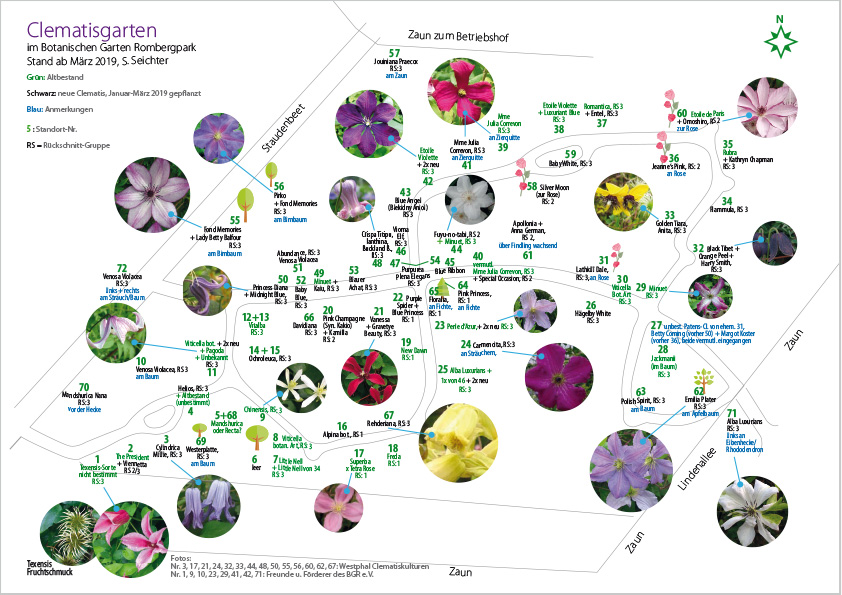 Clematisgarten_BGR_Stand_Maerz-2019