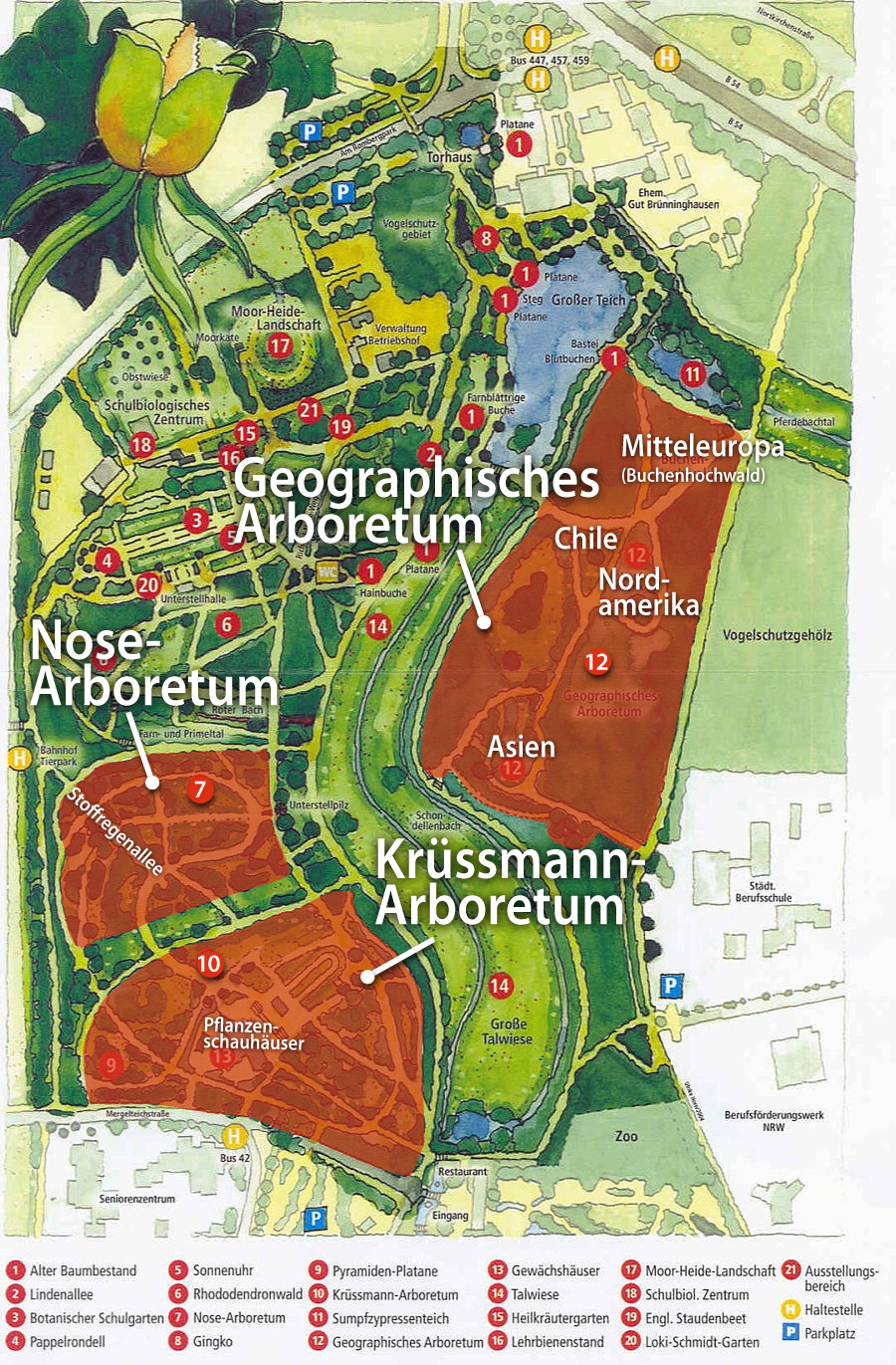 PlanRombergpark_Arboreten