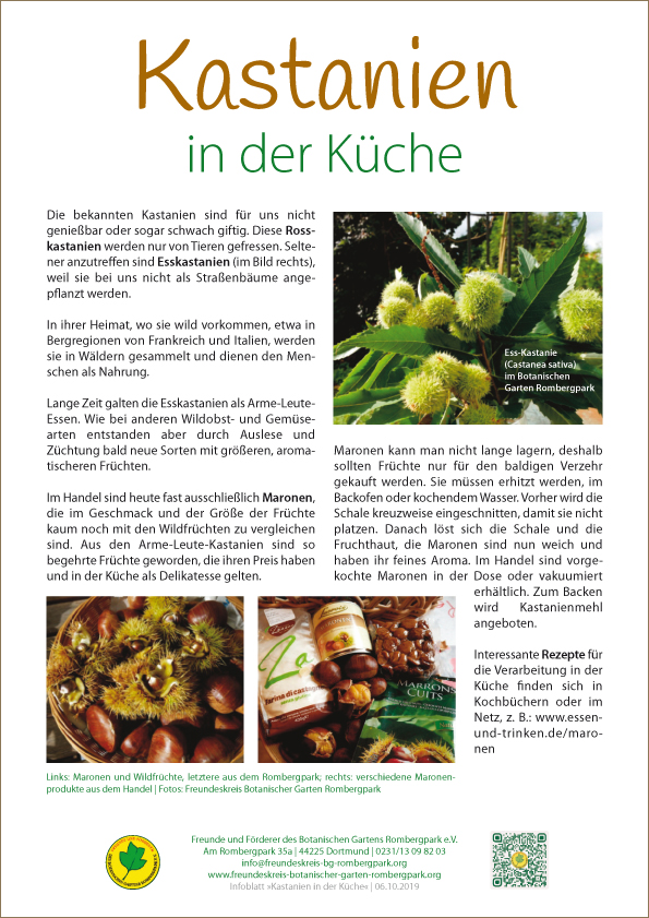 Infoblatt_Kastanien_in_der_Kueche