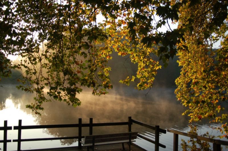 Freunde Und Forderer Des Botanischen Gartens Rombergpark E V