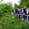 Der neue Standort am Teich