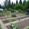 Der Heilkräutergarten des Botanischen Gartens ist ein Magnet 