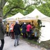 Freundeskreis-Infostand