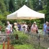 Sommerliches Gartenfest-Flair