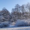 Winterlandschaft im Heidemoor