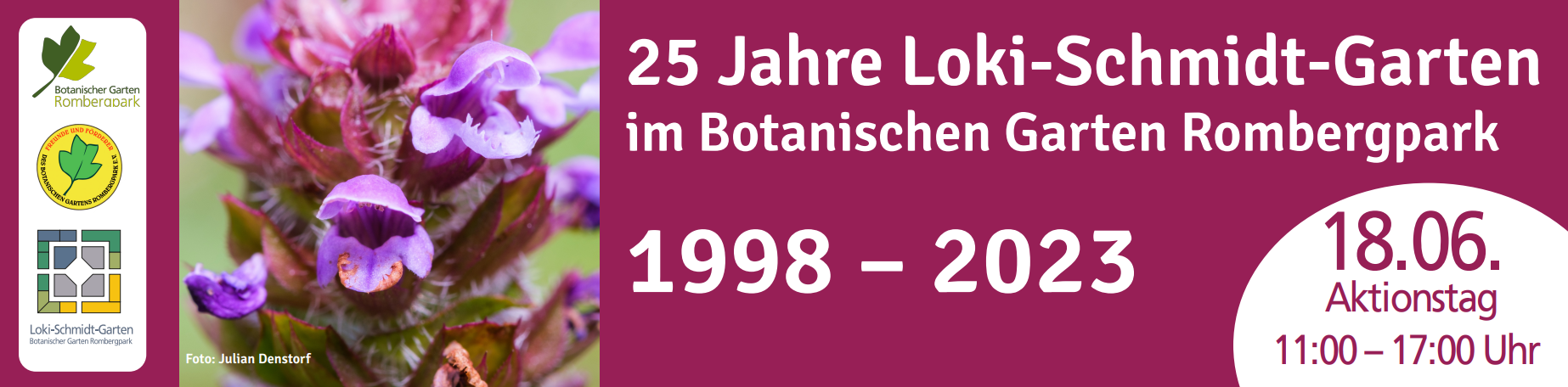 Banner zu 25 Jahre LSG